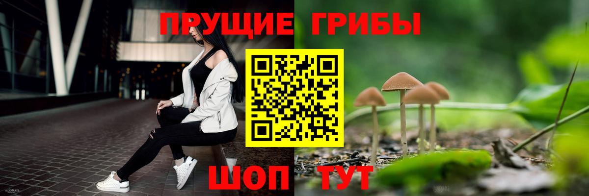 Псилоцибиновые грибы мицелий  Вход с VPN  Малоярославец 
